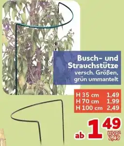 CENTERSHOP Busch und Strauchstütze Angebot