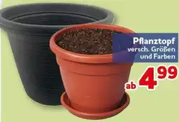 CENTERSHOP Pflanztopf Angebot