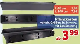 CENTERSHOP Pflanzkasten Angebot