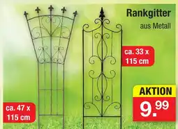 Zimmermann Rankgitter Angebot