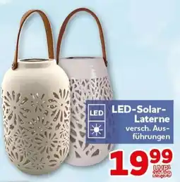 CENTERSHOP LED-Solar- Laterne Angebot
