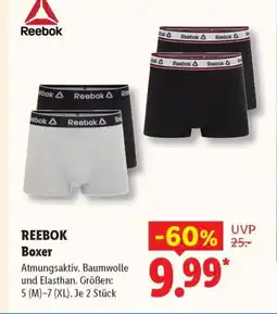 Lidl REEBOK Boxer Angebot