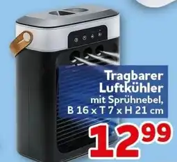 CENTERSHOP Tragbarer Luftkühler Angebot