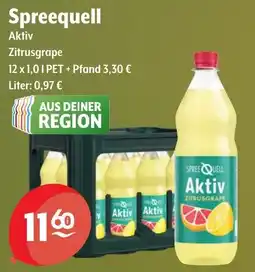 Getränke Hoffmann Spreequell Aktiv Zitrusgrape Angebot