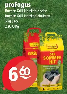 Getränke Hoffmann profagús Buchen Grill-Holzkohle oder Buchen Grill-Holzkohlebriketts Angebot