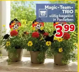 CENTERSHOP Magic-Team- TRIO Angebot
