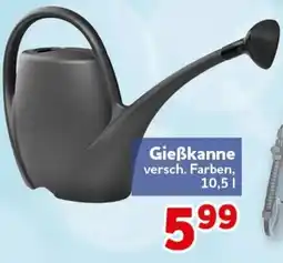 CENTERSHOP Gießkanne Angebot