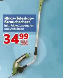 CENTERSHOP Akku-Teleskop- Strauchschere Angebot