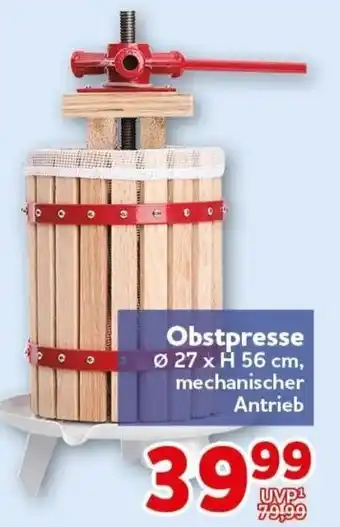 CENTERSHOP Obstpresse Angebot