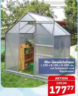 CENTERSHOP Alu-Gewächshaus Angebot