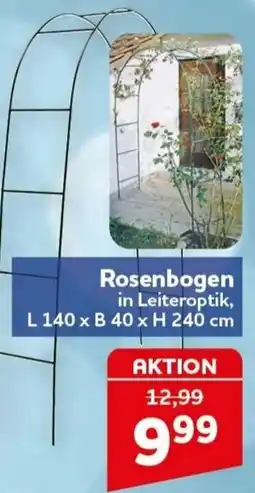 CENTERSHOP Rosenbogen Angebot