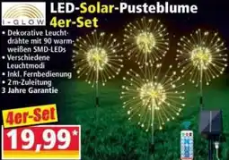 Norma I-GLOW LED-Solar-Pusteblume 4er Set Angebot