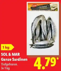Lidl SOL & MAR Ganze Sardinen Angebot
