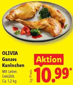Lidl OLIVIA Ganzes Kaninchen Angebot