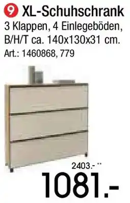 Zurbrüggen Dieter Knoll XL-Schuhschrank Angebot
