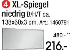 Zurbrüggen Dieter Knoll XL-Spiegel niedrig Angebot