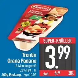 E-Center Trentin Grana Padano Angebot