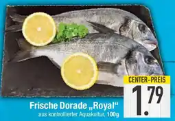 E-Center Frische Dorade Royal Angebot
