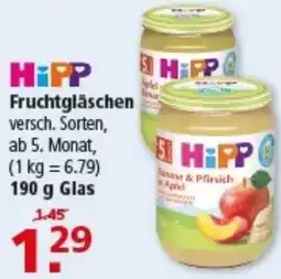 Multi Markt Hipp Fruchtgläschen Angebot