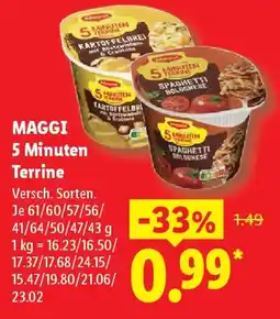 Lidl MAGGI 5 Minuten Terrine Angebot