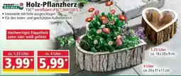 Norma Power Garden Holz-Pflanzherz Angebot