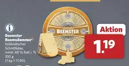 Combi Beemster Beemsterdammer Angebot