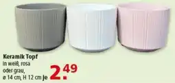 Multi Markt Keramik Topf Angebot