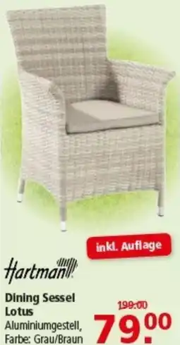 Multi Markt Hartman Dining Sessel Lotus Angebot