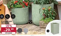 Dehner PFLANZTOPF 'BASALT UP' Angebot