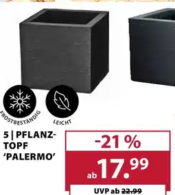 Dehner PFLANZTOPF 'PALERMO' Angebot