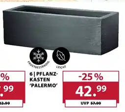 Dehner PFLANZKASTEN 'PALERMO' Angebot