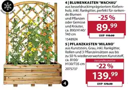Dehner BLUMENKASTEN 'WACHAU' Angebot