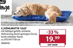 Dehner KÜHLMATTE 'LILO' Angebot