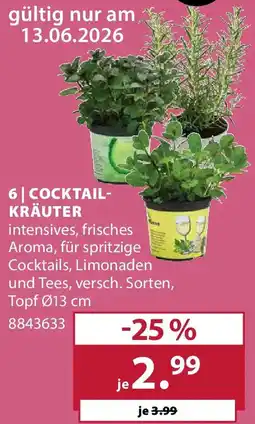 Dehner COCKTAIL- KRÄUTER Angebot