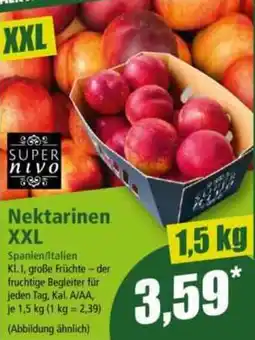 Norma Nektarinen XXL Angebot