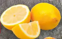 Handelshof Bio Zitronengras Angebot