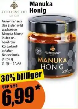 Norma Felix himstedt manuka honig Angebot
