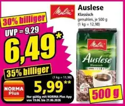 Norma Melitta Auslese Angebot