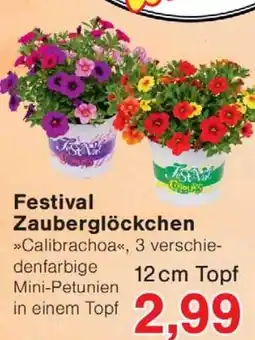 Wiglo Wunderland Festival Zauberglöckchen Angebot