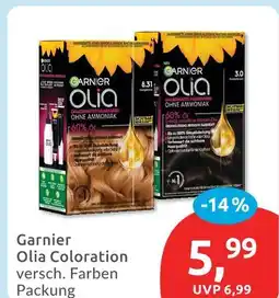 Budni Garnier olia coloration Angebot