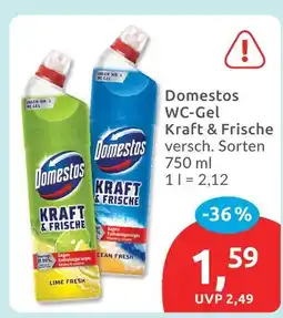 Budni Domestos wc-gel kraft & frische Angebot