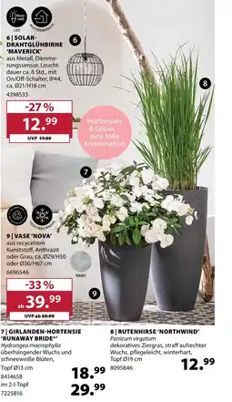 Dehner Solar-drahtglühbirne 'maverick' Angebot