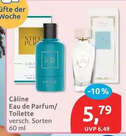 Budni Câline eau de parfum/toilette Angebot