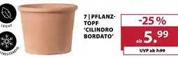 Dehner Pflanztopf 'cilindro bordato' Angebot