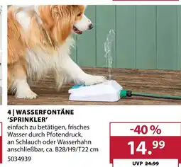Dehner Wasserfontäne 'sprinkler' Angebot