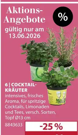 Dehner Cocktail-kräuter Angebot