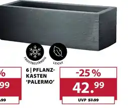 Dehner Pflanzkasten 'palermo' Angebot