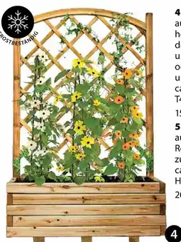 Dehner Blumenkasten ‘wachau’ Angebot