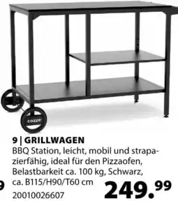 Dehner Cozze grillwagen Angebot