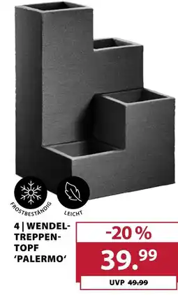 Dehner Wendel-treppen-topf 'palermo' Angebot